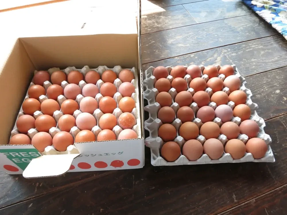 河内山養鶏場の卵（Mサイズ3０～60個）/東北、関東、信越への配送