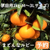 ※予約※【2㎏/M～3L】家庭用　まどんなルビー(愛媛果試28号）