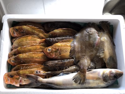 みんなの投稿の画像