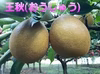 水分たっぷりでずっしり重い王梨3キロ、5キロダンボール箱入り(家庭用もあります)