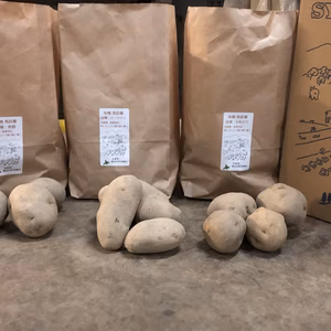有機栽培ジャガイモ3種4.５ｋｇ