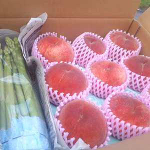 B2.2A 八幡白鳳&夏あっぱらset  【 自家用 】