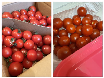 みんなの投稿の画像