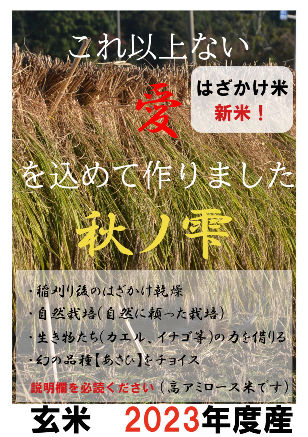 2023年朝日米１０kg玄米　たけ爺ブランド米　栽培期間中無化学肥料・無農薬栽培-