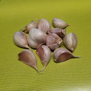 山梨県産にんにく　バラ
