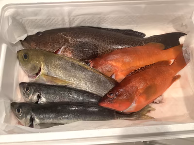 みんなの投稿の画像