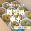 【たくさん食べたい！】石川県産「加賀梨」サイズいろいろ！訳あり幸水
