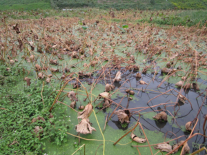 o2048153613795106877