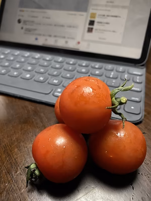 みんなの投稿の画像