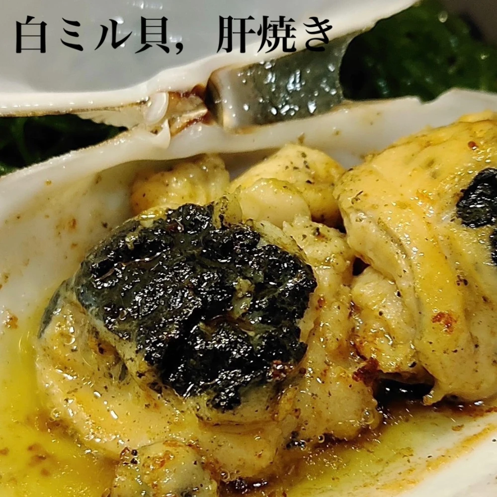 【日間賀島漁師直送】今が旬 高級貝 【白ミル貝】活かし発送❗️