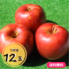 ≪限定販売≫【送料無料】りんご（つがる）12玉箱入