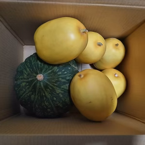 マクワウリ・かぼちゃ セット(クール便)