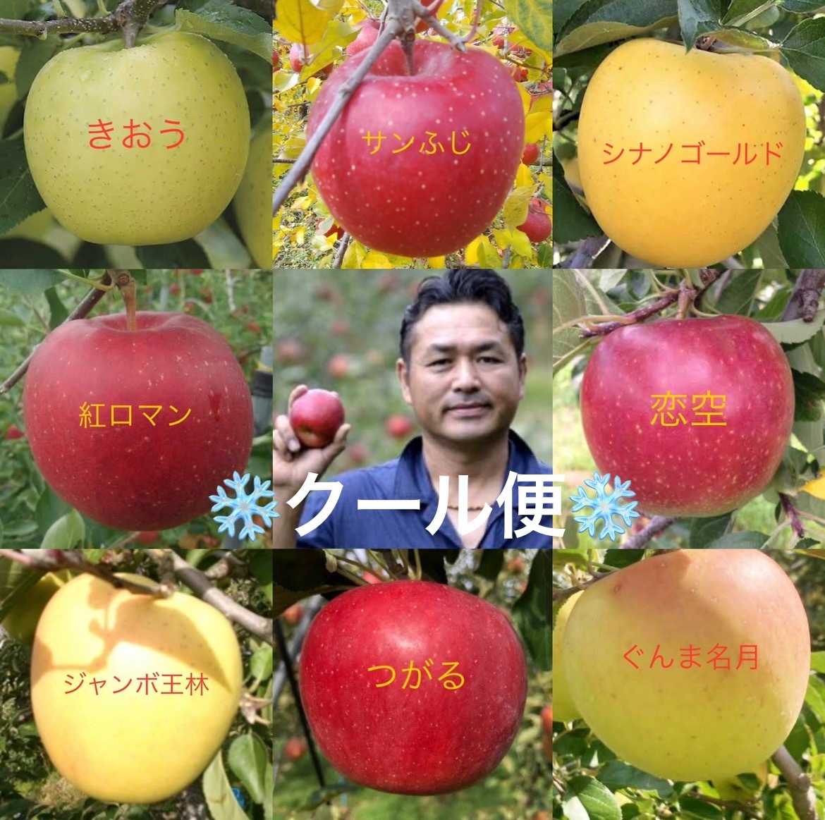 すもも小玉　10キロ 北海道産 小玉スイカ 8kg なんぽろ小玉すいか 令和7年度産 8月