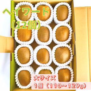 【追熟済】平均糖度16度！甘くておいしいキウイフルーツ（大サイズ） 12個