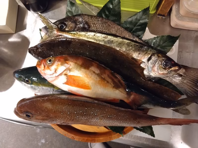 みんなの投稿の画像