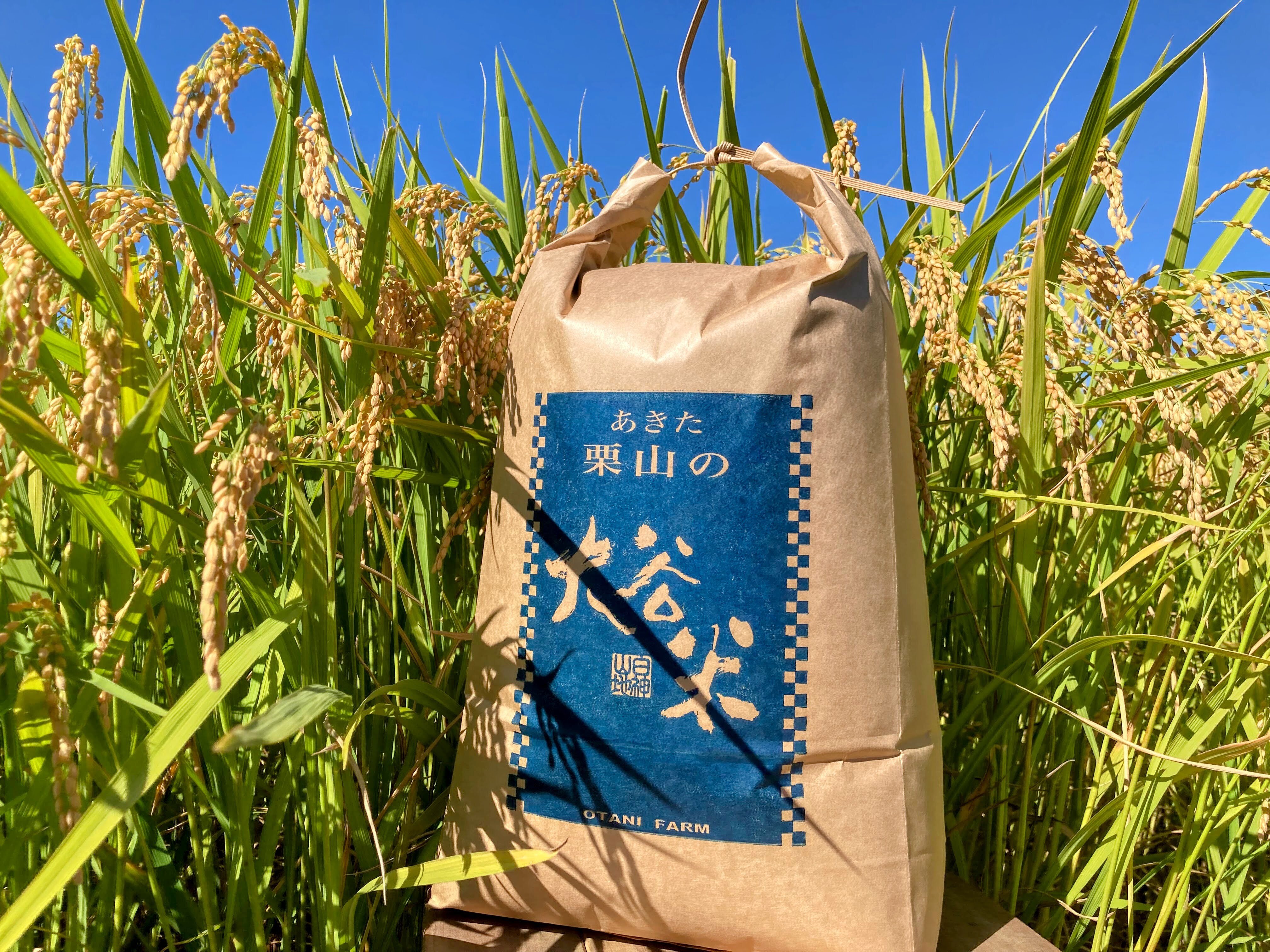 精米 9kg 秋田県産あきたこまち 大谷米 令和7年度産｜白米の商品詳細