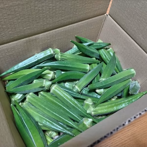 生産量日本一、鹿児島県指宿の朝採りオクラ✨