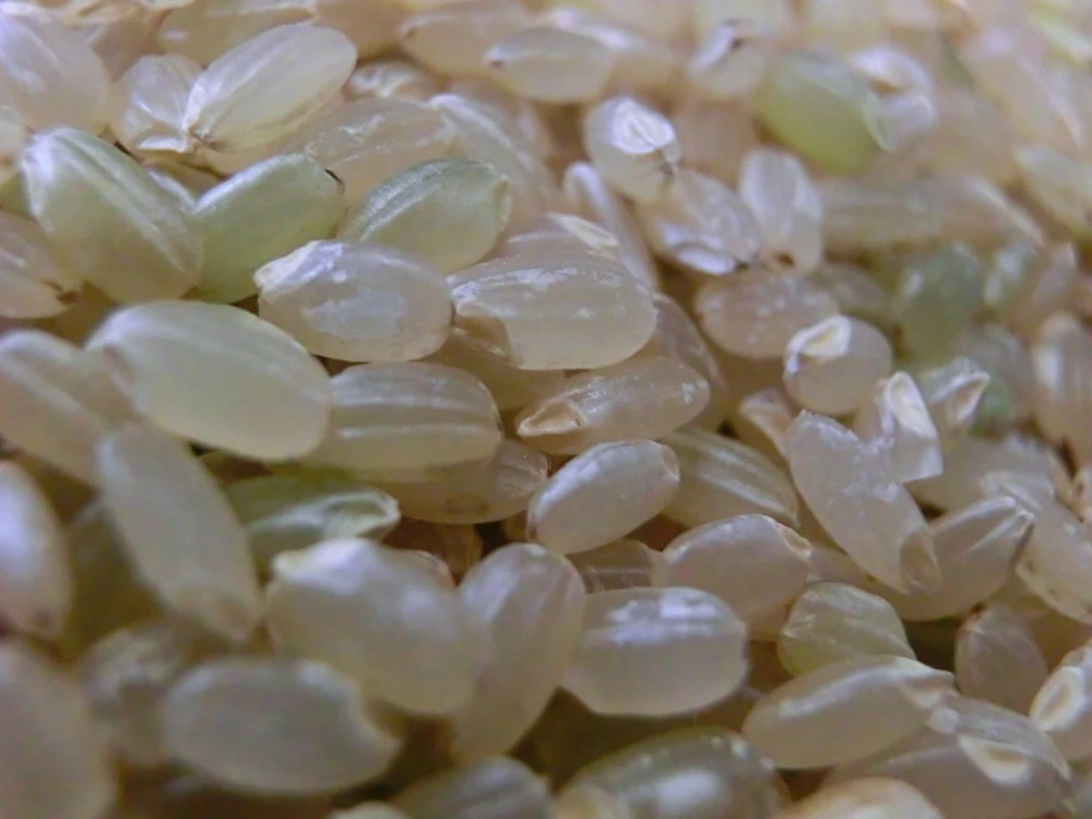 農薬アレルギーの方でも安心！「残留農薬０の米®」玄米ひとめぼれ２kg