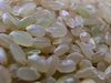 農薬アレルギーの方でも安心！「残留農薬０の米」玄米ひとめぼれ２kg