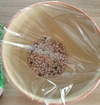 味付けしなくても甘いポップコーン