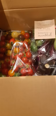 みんなの投稿の画像