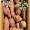 【絶品】種子島産 安納芋 B品 (中〜大サイズ)