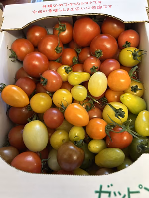 みんなの投稿の画像