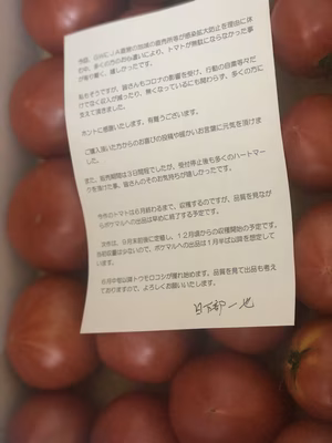 みんなの投稿の画像