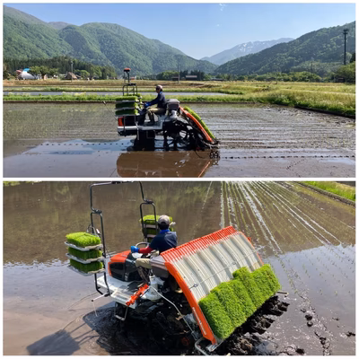 みんなの投稿の画像