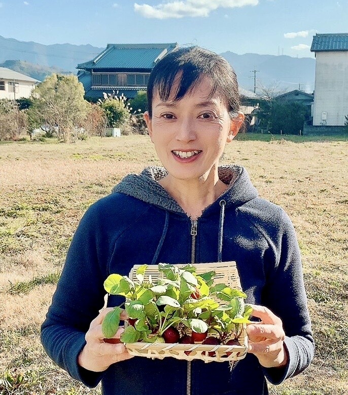 苔玉 ソフォラ｜花・観葉植物の商品詳細｜ポケットマルシェ｜産直(産地直送)通販 旬の果物・野菜・魚介をお取り寄せ