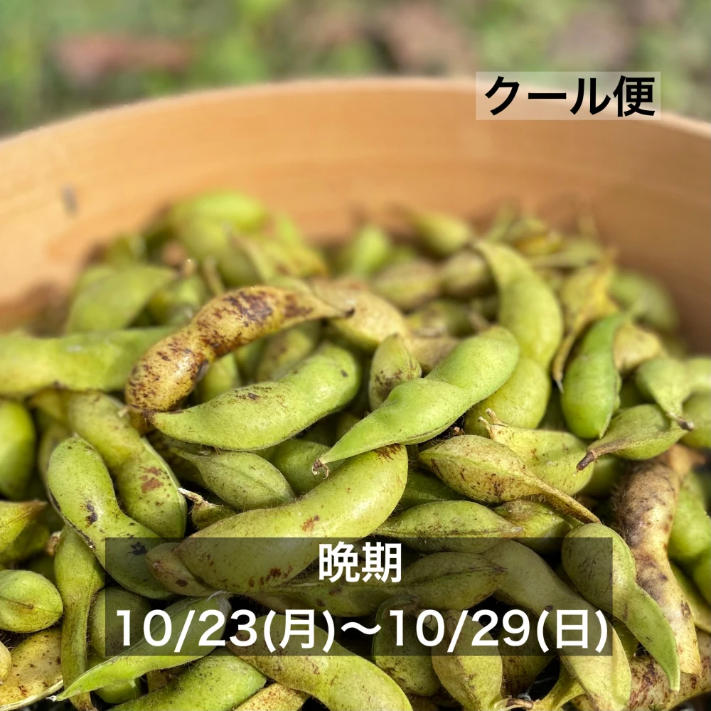 兵庫県丹波市産　黒枝豆　2キロ