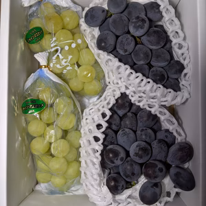 葡萄の詰め合わせ
