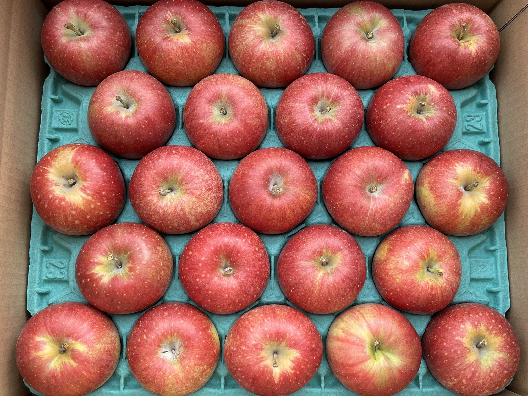 シャキシャキ!小玉 食べきりサイズ!完熟サンふじ 約5kg〜 信州りんご 小玉 完熟サンふじ5kg箱 20〜25個入り