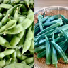 旬の摘みたて無選別枝豆700g☆と朝採り新鮮オクラ300g