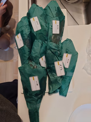 みんなの投稿の画像