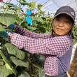 小林加都美