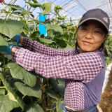 小林加都美 | COBA.FARM