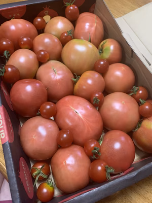 みんなの投稿の画像