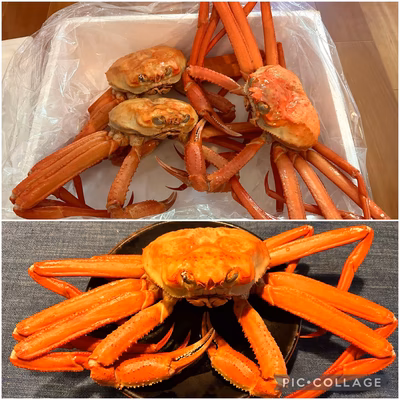 みんなの投稿の画像