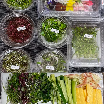 みんなの投稿の画像