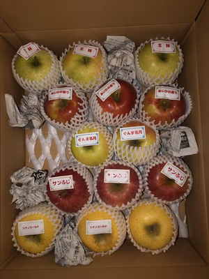 みんなの投稿の画像