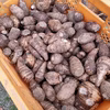 砂丘育ち 黄金里芋 1kg