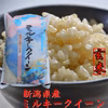 ミルキークイーン5kg(玄米)   令和二年産