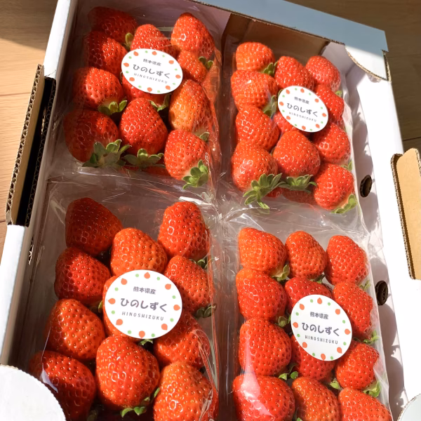【レア品種！】糖蜜使用のこだわりいちご！ひのしずく小【4パック】