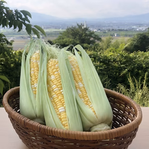 大自然の優しい甘み、奇跡の土が育てたのっぷいコーン"甘々娘" Lサイズ