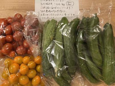 みんなの投稿の画像