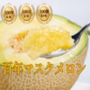 【1700自治体中1位】メロン王国が誇る渥美半島ブランド『百年マスクメロン』