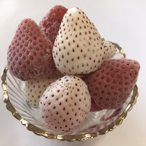 パールホワイト&さがほのかMIX冷凍いちご［佐賀県産］