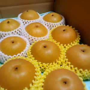 R7AAS5 限定２【贈答用】新美月とあきづき　５Ｋｇ