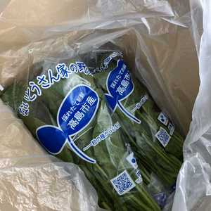 クール便湖国の畑から☆採りたてたっぷりほうれん草